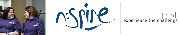 n:spire section
